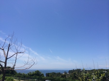 長井海の手公園 ソレイユの丘