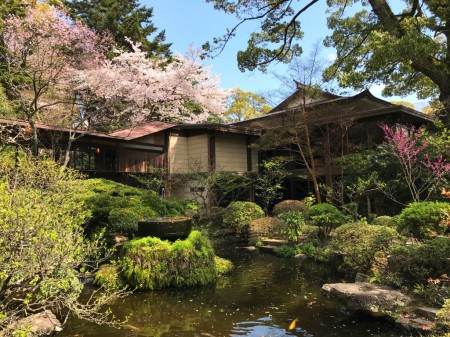 報徳二宮神社の神池と桜