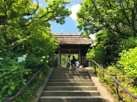 鎌倉　東慶寺の山門