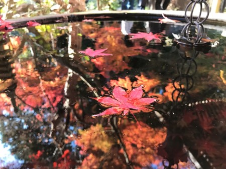 鎌倉　覚園寺の紅葉
