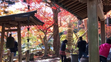 鎌倉　覚園寺の紅葉
