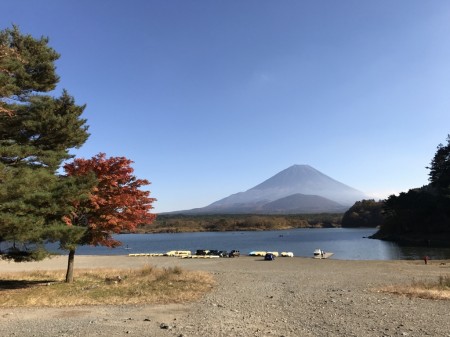 精進湖畔の紅葉と富士山