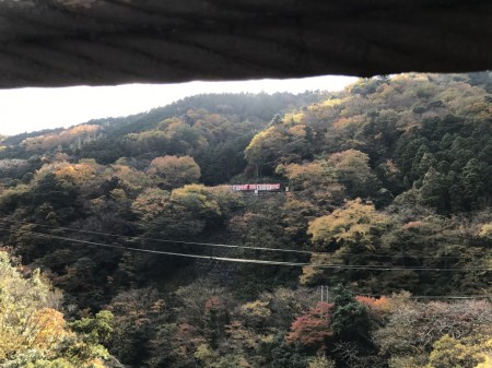 箱根早川橋梁（出山の鉄橋）撮影スポットから箱根登山鉄道のスイッチバック地点を見る