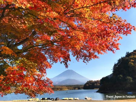 精進湖畔の紅葉と富士山